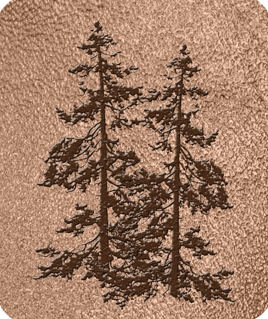 F35 000 BZ SH BZ Pine Tree Silhouette PROOF